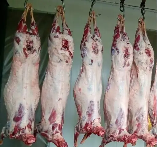 Qoyun əti istehsalının 21% artırılması nəzərdə tutulur