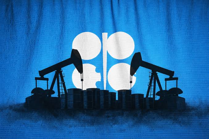 OPEC 2050-ci ilədək qlobal enerji istehlakının 23% artacağını gözləyir